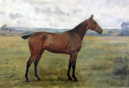 George Goodwin Kilburne (1839-1924) Portrait of a horse in a field, 11.5 x 17.5in.